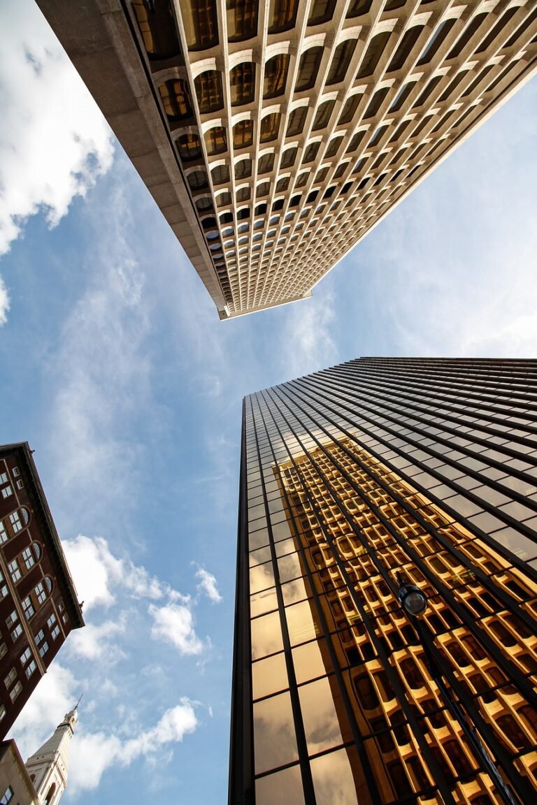 Los seguros “unit linked” y el impuesto sobre el patrimonio (STS 5132 y 5164/2024)